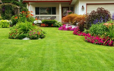 Manicured Yard