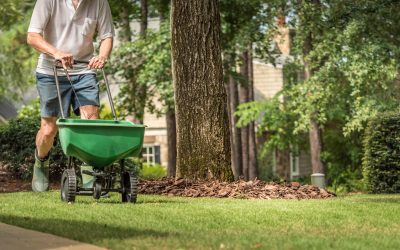 Indianapolis Lawn Care